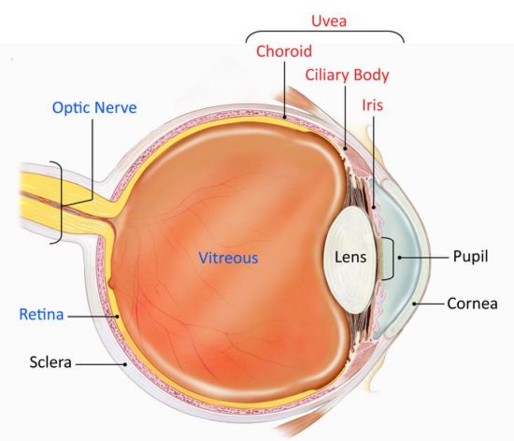 ⁠best eye hospital in Jalandhar